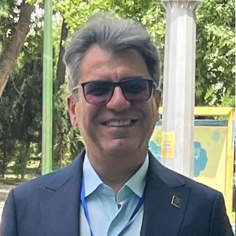 Prof. Dr. Bahram Hemmateenejad